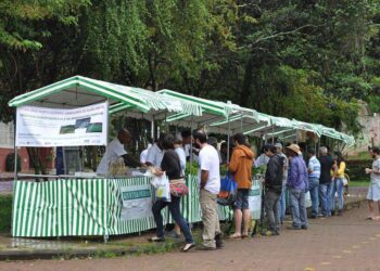Ouro Preto: Feira dos Agricultores Familiares acontece todo sábado pela manhã na Praça da UFOP