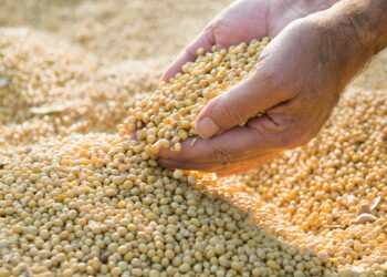 Abstinência sem carência: Qualquer estilo de vida pode ser saudável 