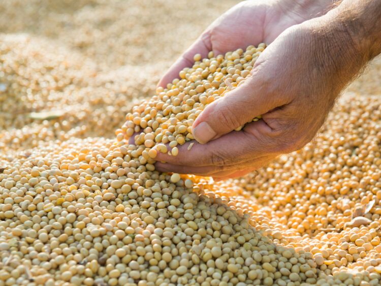 Abstinência sem carência: Qualquer estilo de vida pode ser saudável 