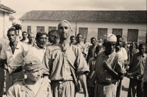 Holocausto brasileiro: a construção da memória através da mídia