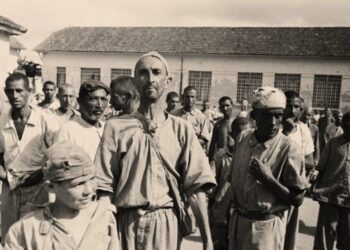 Holocausto brasileiro: a construção da memória através da mídia