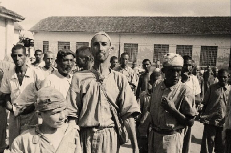 Holocausto brasileiro: a construção da memória através da mídia