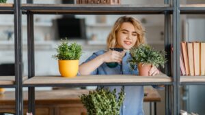Conheça alguns tipos de plantas raras para cultivar em casa Conheça alguns tipos de plantas raras para cultivar em casa