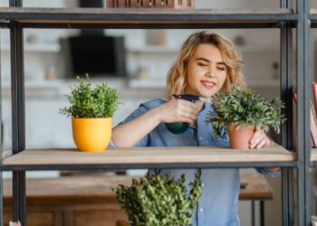 Conheça alguns tipos de plantas raras para cultivar em casa