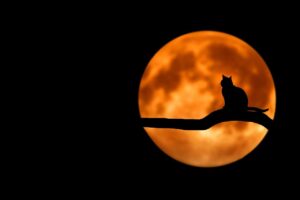 Um causo mineiro para “morrer de medo”
