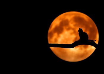 Um causo mineiro para “morrer de medo”