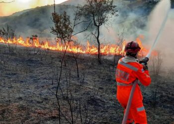 Bairros de Ouro Preto estão sob alerta de queimadas florestais
