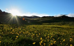 Primavera inicia nesta quarta-feira com queda nas temperaturas e chuva fraca Primavera inicia nesta quarta-feira com queda nas temperaturas e chuva fraca