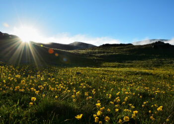 Primavera inicia nesta quarta-feira com queda nas temperaturas e chuva fraca