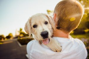 Os signos que preferem conviver com bichos do que com gente