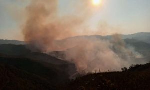 Parque do Itacolomi sofre segundo incêndio em menos de um mês Parque do Itacolomi sofre segundo incêndio em menos de um mês