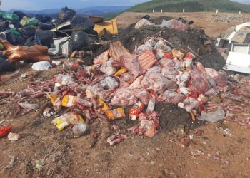Vigilância Sanitária apreende 400 kg de carne vencida à venda em açougue de Itabirito