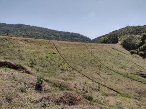 Autoridades falam em “possibilidade de rompimento” da barragem do Brejo Grande