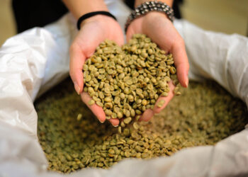 Minas Gerais segue sendo o maior produtor de café do Brasil