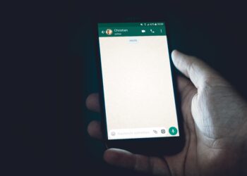 Tudo sobre o Principal Mod para WhatsApp: Como Baixar, Instalar e Usar