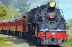 Tudo é um trem! Por que o mineiro coloca o “trem” em tudo?