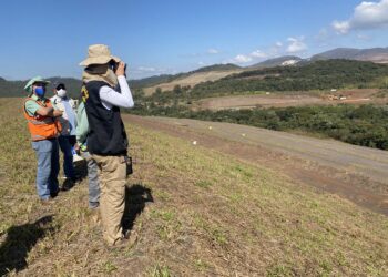 Agência Nacional de Mineração lança edital de concurso público com 40 vagas