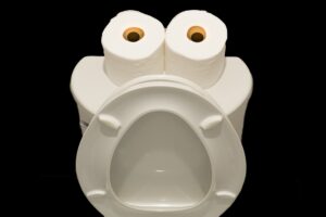 9 Formas de Desentupir o Vaso Sanitário