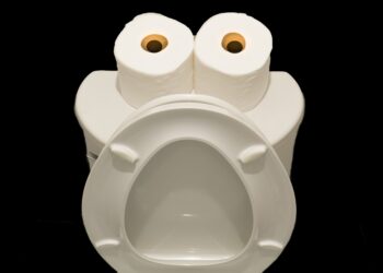 9 Formas de Desentupir o Vaso Sanitário