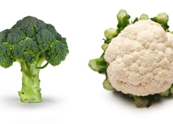 Brócolis versus couve-flor: qual é mais saudável?