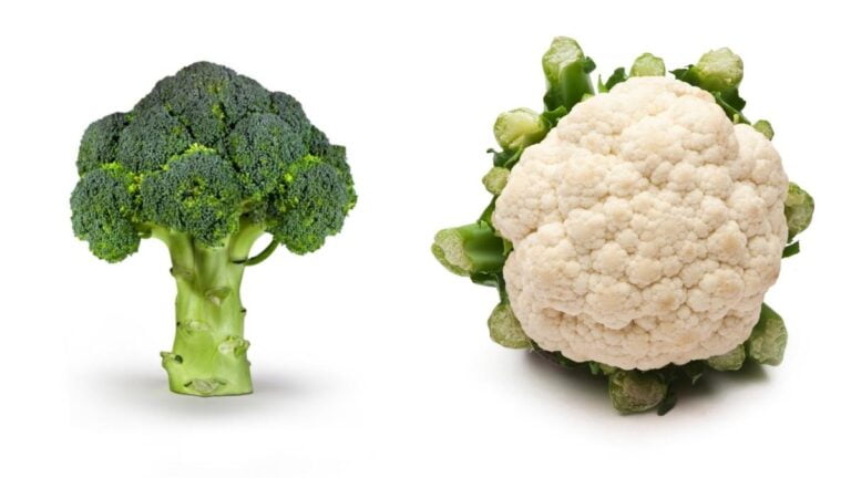 Brócolis versus couve-flor: qual é mais saudável?