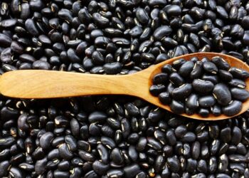 Como plantar e colher feijão em casa