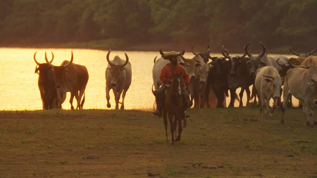 5 destaques da estreia de 'Pantanal'
