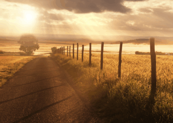 Analisando “Tocando em Frente”, de  Almir Sater e Renato Teixeira