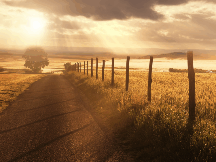 Analisando “Tocando em Frente”, de  Almir Sater e Renato Teixeira