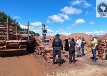 Fazenda é flagrada submetendo 24 pessoas à situação de trabalho análogo ao de escravo