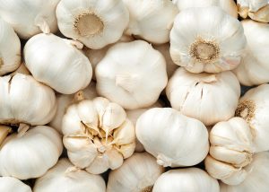 Os 4 alimentos mais ricos em nutrientes do planeta Os 4 alimentos mais ricos em nutrientes do planeta