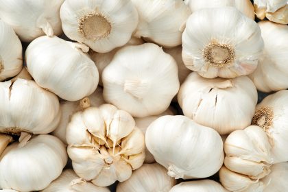 Os 4 alimentos mais ricos em nutrientes do planeta