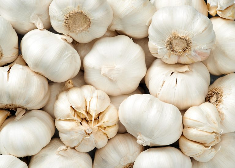 Os 4 alimentos mais ricos em nutrientes do planeta