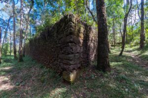 Vale e UFV oferecem 50 vagas no curso de especialização em proteção de sítios arqueológicos Vale e UFV oferecem 50 vagas no curso de especialização em proteção de sítios arqueológicos