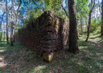 Vale e UFV oferecem 50 vagas no curso de especialização em proteção de sítios arqueológicos