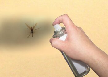 Os mosquitos não lhe deixam ser feliz? Aprenda a preparar estes repelentes caseiros e mude a sua vida