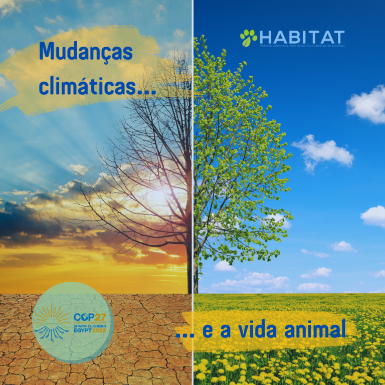 A vida animal e as mudanças climáticas