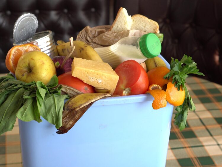 Desperdício de alimentos: um problema global