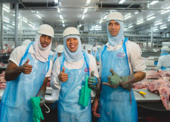 Fim de ano empregado: indústria de alimentos oferece 37 vagas