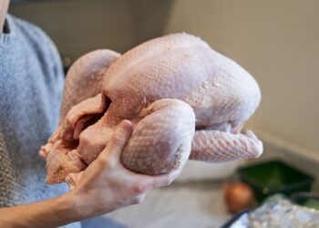 Natal: entenda a diferença entre Chester, Fiesta, Peru e outras carnes