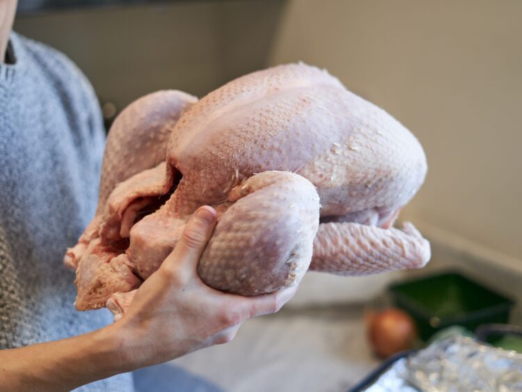 Natal: entenda a diferença entre Chester, Fiesta, Peru e outras carnes