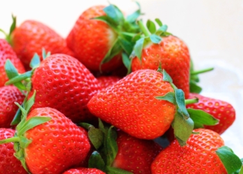 Todo morango tem larvas?