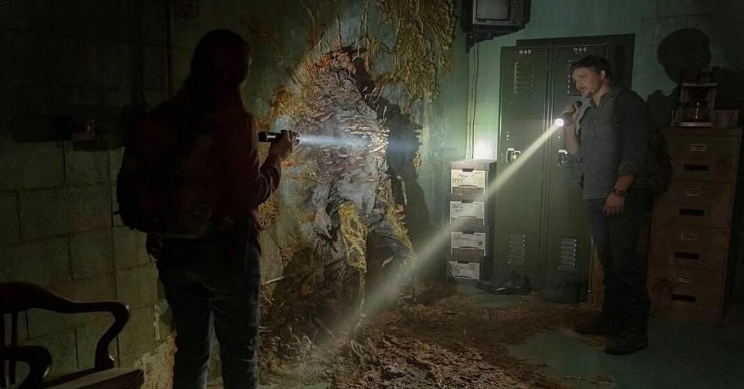 The Last of Us: Neurocientista explica o que podem levar fungos a nos transformar em “zumbis” The Last of Us: Neurocientista explica o que podem levar fungos a nos transformar em “zumbis”
