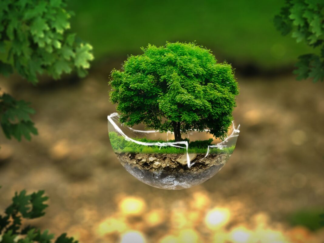 5º Prêmio Sustentabilidade abre inscrições para projetos inovadores no saneamento 5º Prêmio Sustentabilidade abre inscrições para projetos inovadores no saneamento