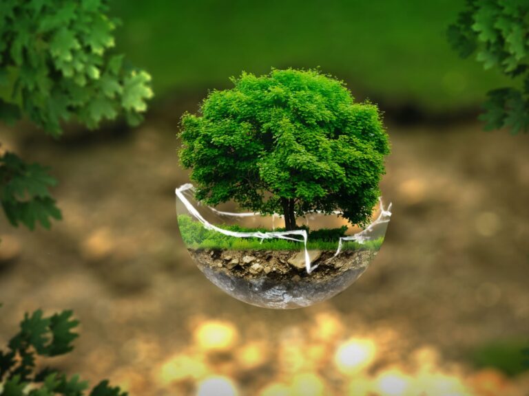 5º Prêmio Sustentabilidade abre inscrições para projetos inovadores no saneamento