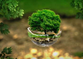 5º Prêmio Sustentabilidade abre inscrições para projetos inovadores no saneamento