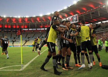 Embalado, Botafogo chega a 14 jogos sem perder