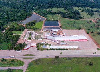 Plena Alimentos contrata profissionais para unidades em Minas Gerais e Tocantins