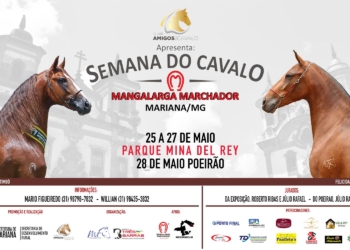 Vem aí a Semana do Cavalo Mangalarga Marchador, em Mariana-MG; confira a programação
