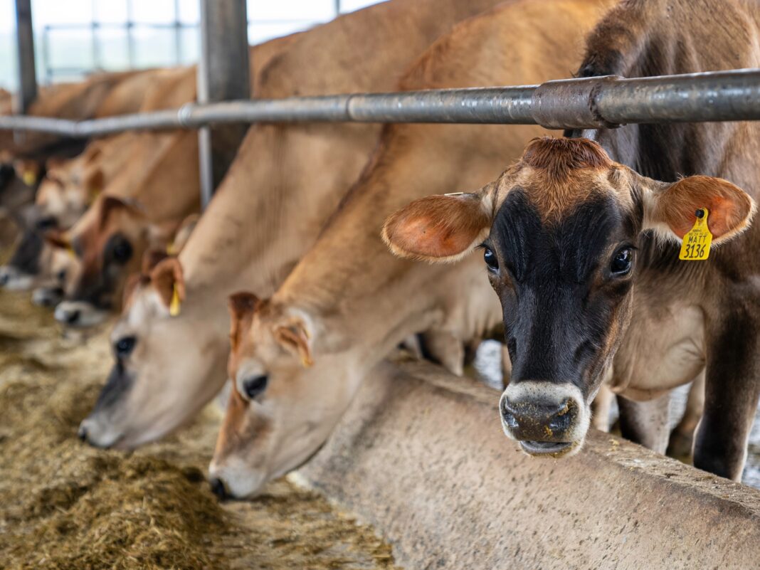 O que a alimentação tem a ver com aquecimento global? O que a alimentação tem a ver com aquecimento global?